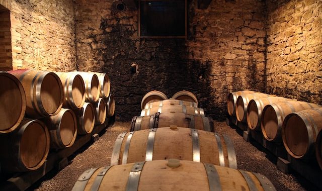 Cave à vin château viticole