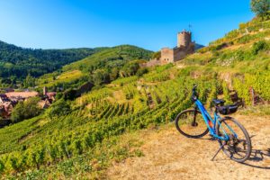 domaine viticole alsace